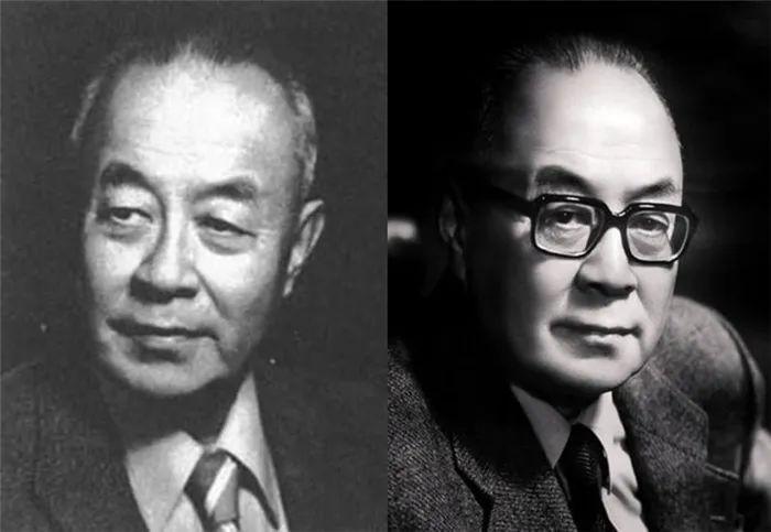 农村喜剧电影，田野间的欢乐光影魅力