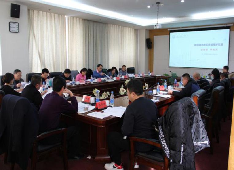 和林格尔新区最新动态，全面指南与任务步骤详解