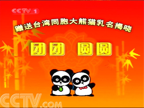 最新乳名揭晓,时尚、文化与传统的交融交融之风采