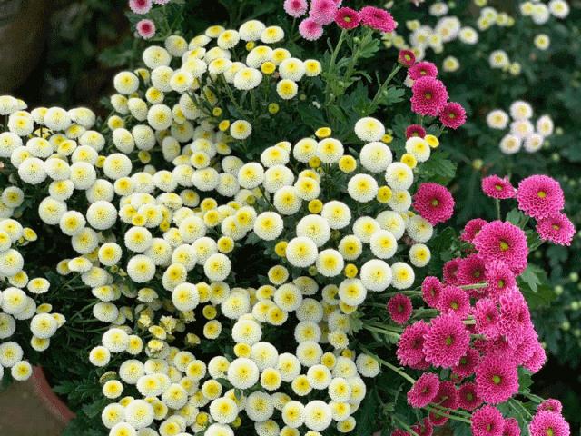 天门最新动态发布,学习变化,自信塑造未来