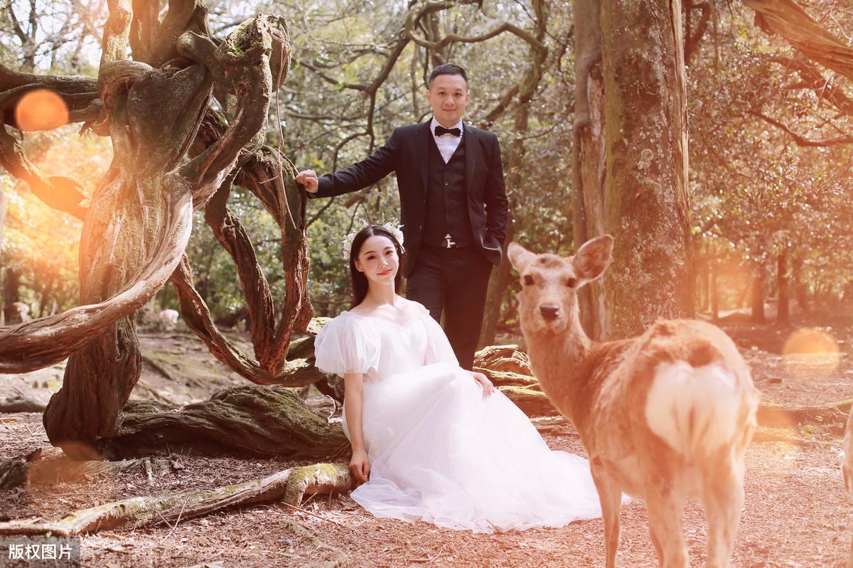 最新密码,最新密码,引领科技潮流,重塑生活体验