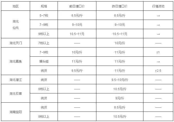 翘嘴价格行情，一场探寻知识与成长的学习盛宴