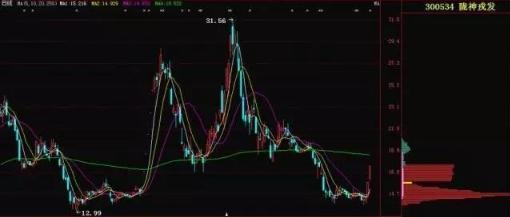 当今股市行情,股市与自然的交响曲,一场寻找内心平静的奇妙旅行