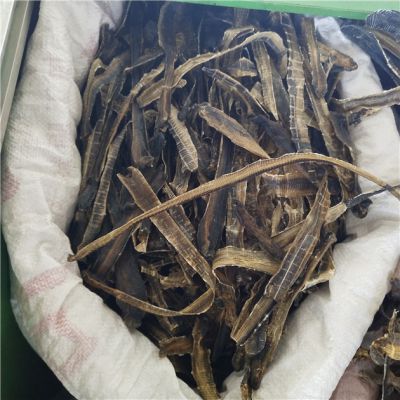 地龙价格揭秘,科技重塑生活,全新产品介绍与价格分析!