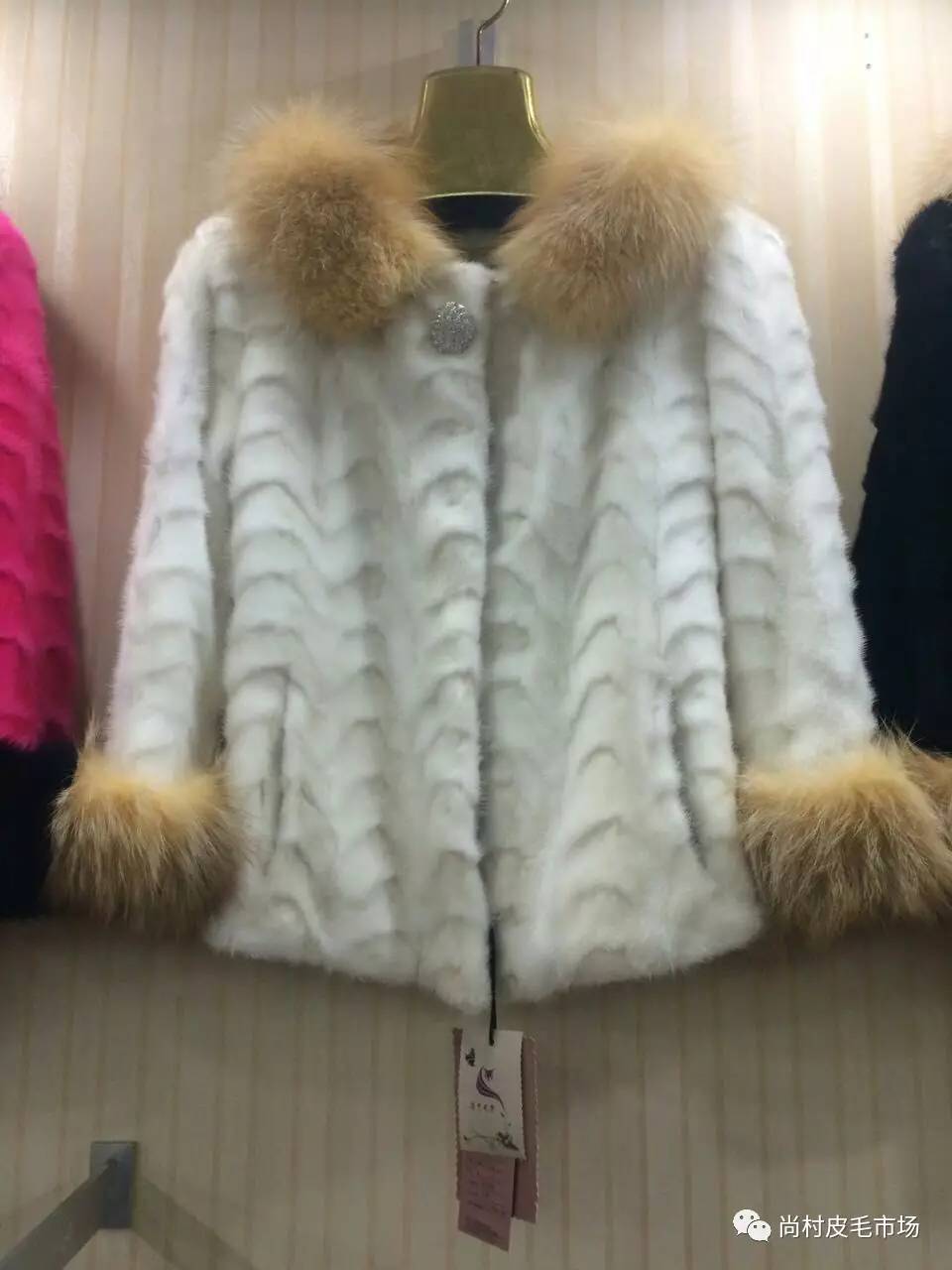 水貂市场价格动态分析或报告