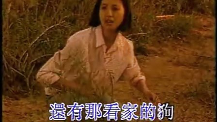篱笆女人和狗电视剧,观看与欣赏的详细指南