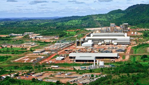 赞比亚最新动态,阳光下的温情日常