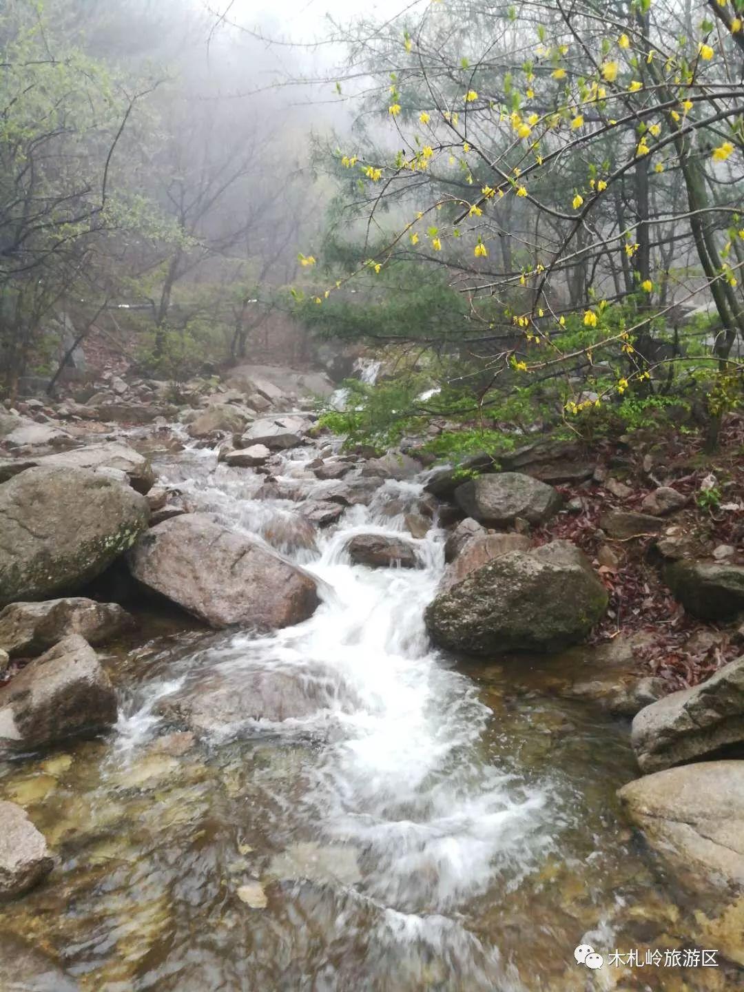 嵩县最新资讯与动态获取指南