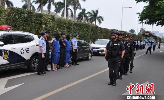 海南司机招聘信息探索,小巷中的职业风味探索