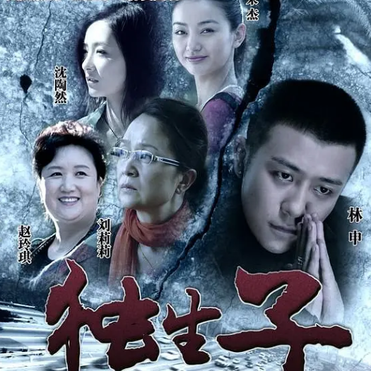 独生子电视剧，聚焦现代家庭独特挑战