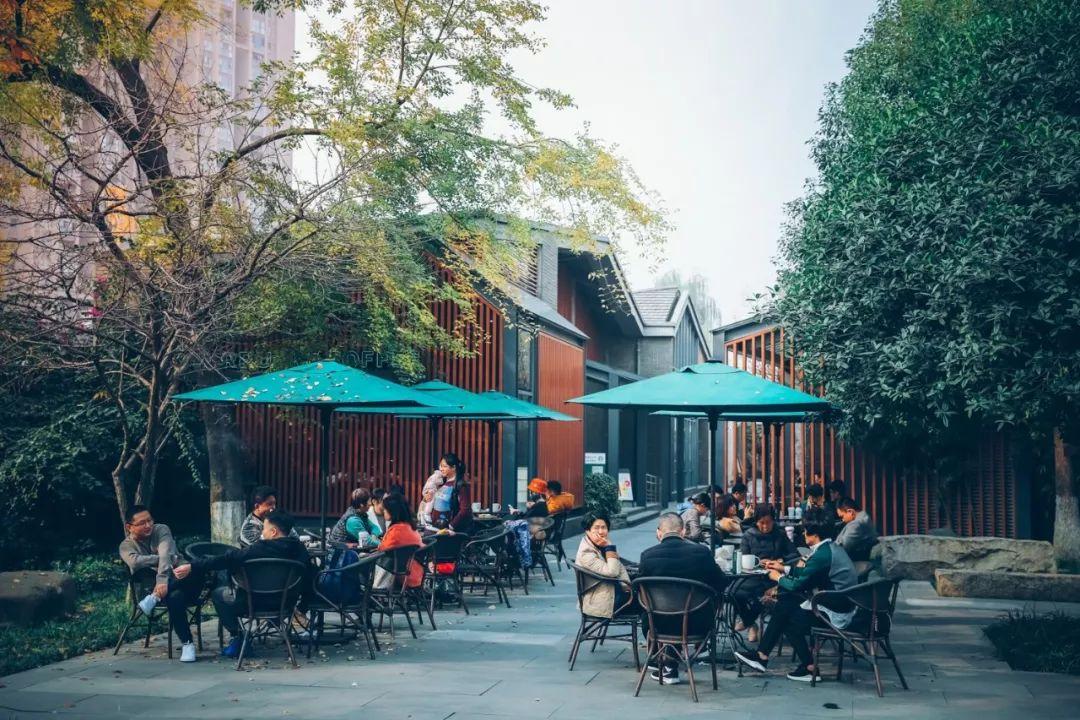 周末龙门阵新一期,友情的温暖与家的欢乐之夜