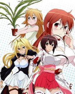 邻家小鹡的日常趣事,类似鹡鸰女神的温馨动漫之旅