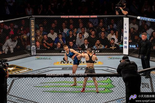 最新格斗比赛视频,力量之舞,自信与成就感的源泉