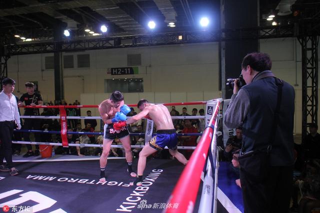 最新格斗比赛视频,力量之舞,自信与成就感的源泉