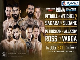 最新格斗比赛视频,热血燃烧的时代印记