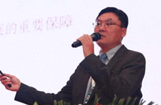 杰瑞股票行情,杰瑞股票行情与我们的日常小故事