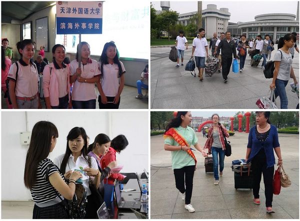 刘玥最新动态,多元视角下的观察与深度解读