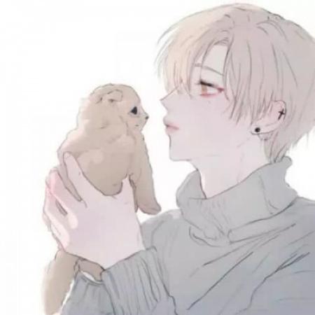 动漫男生头像风格、种类与独特魅力解析