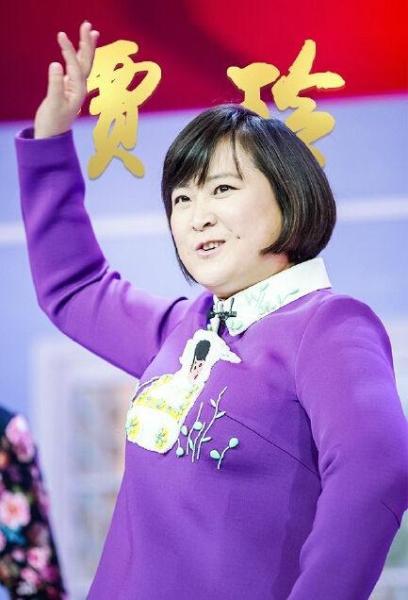 女相声演员贾玲,突破传统界限的艺术璀璨之旅