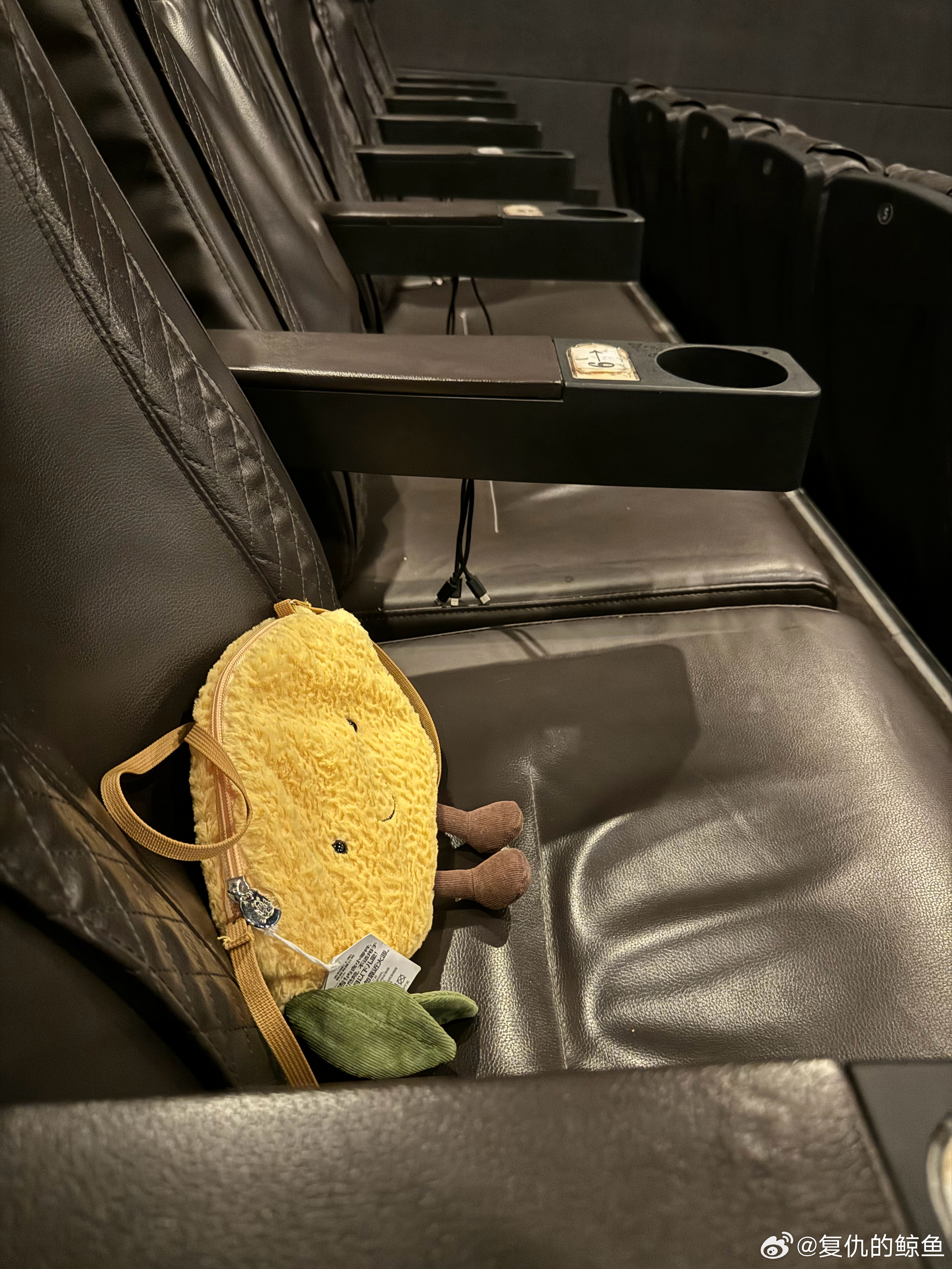 科技之光下的观影革命,柠檬电影重塑体验