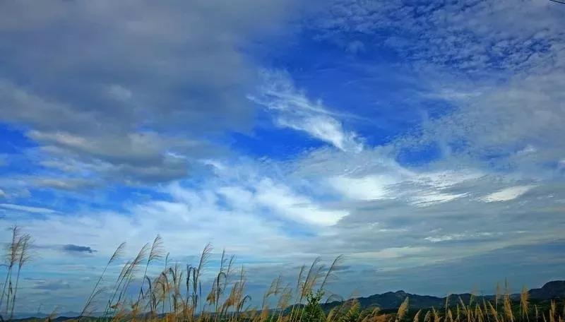 今日台风最新动态更新