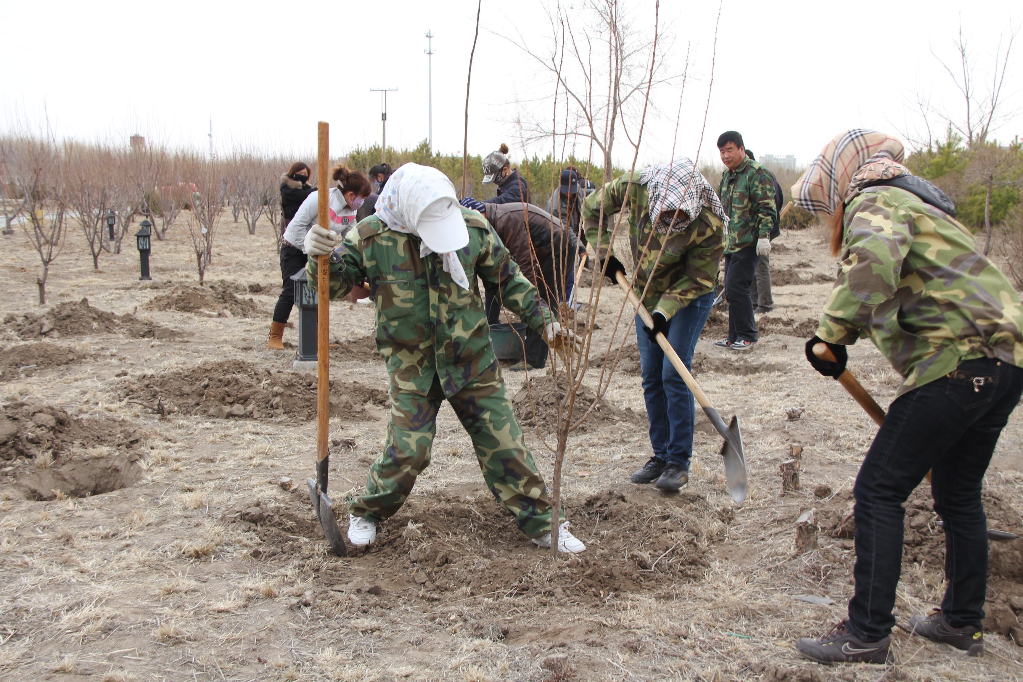 大同人才市场最新招聘火热进行中，求职者的福音！