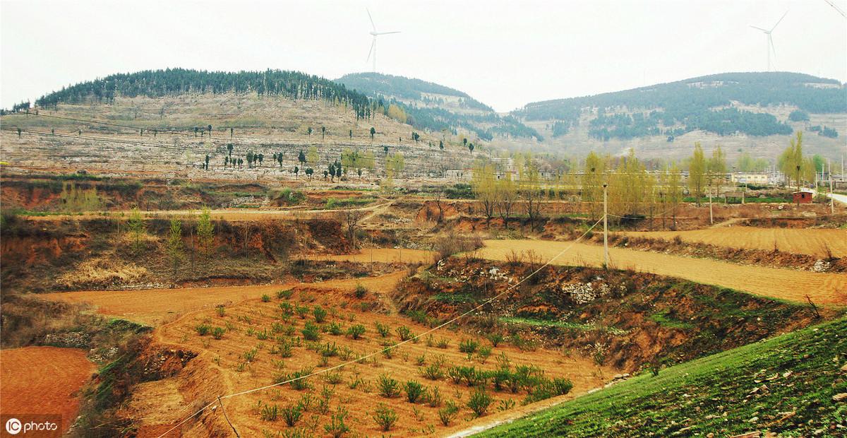 最新农村土地承包政策解读与概述📘