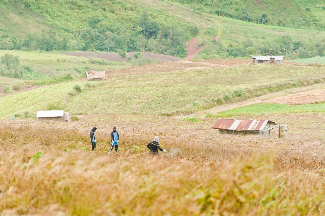 最新农村土地承包政策解读与概述📘