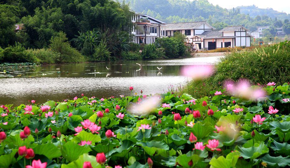 安居古城新建工程,平衡保护与发展的古城重塑标题建议,安居古城,重塑与保护的平衡之道