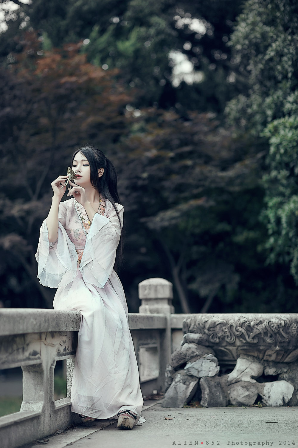 红尘夜韵最新篇章