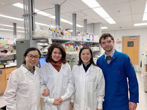 苏记电视剧,苏记电视剧,一部引领时代风尚的视觉盛宴