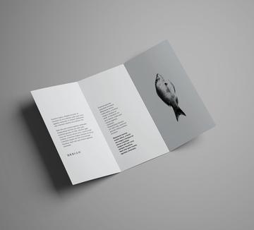 最新骑马订机长职位招聘,最新骑马订机长职位招聘——科技之巅，驾驭未来