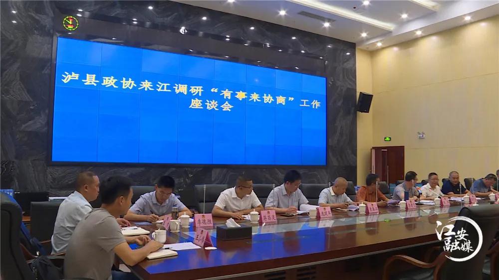 泸州最新试点,深度解析其观点论述与进展