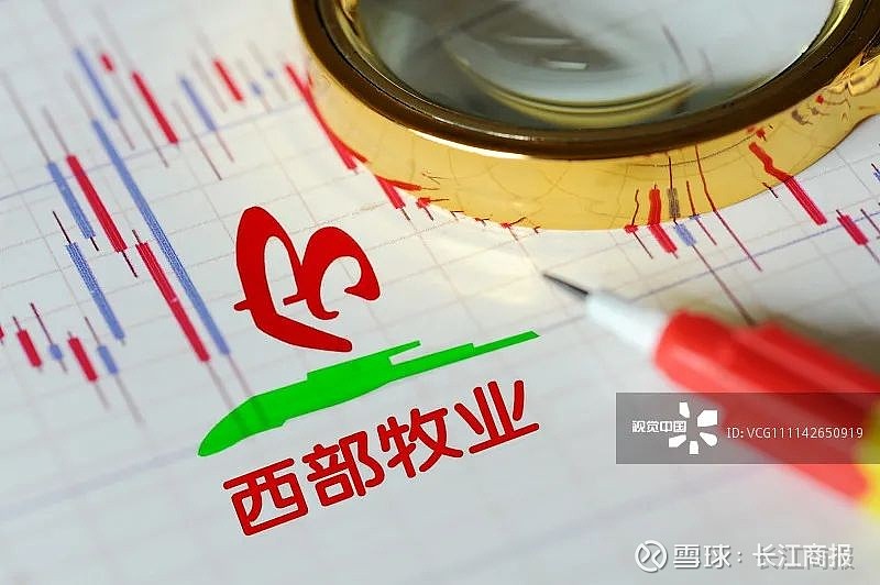 西部牧业上市,西部牧业上市，草原的繁荣之路