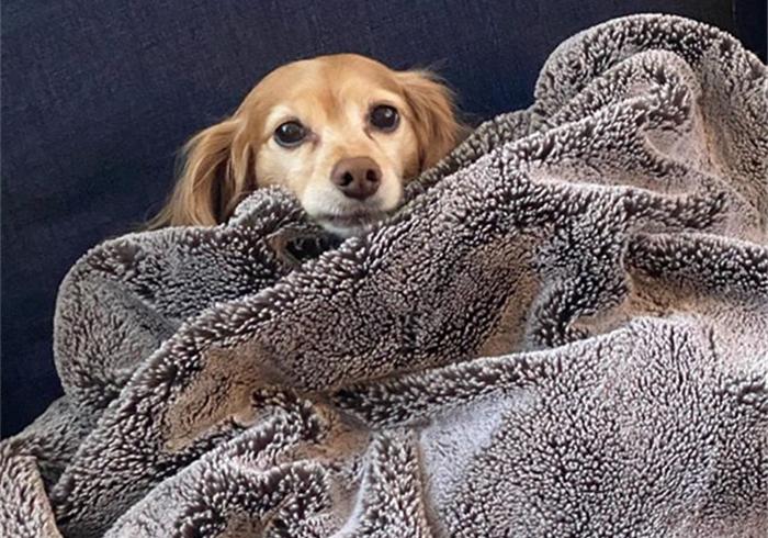 探索生活中的意外缘分，与明星撞脸的奇妙经历