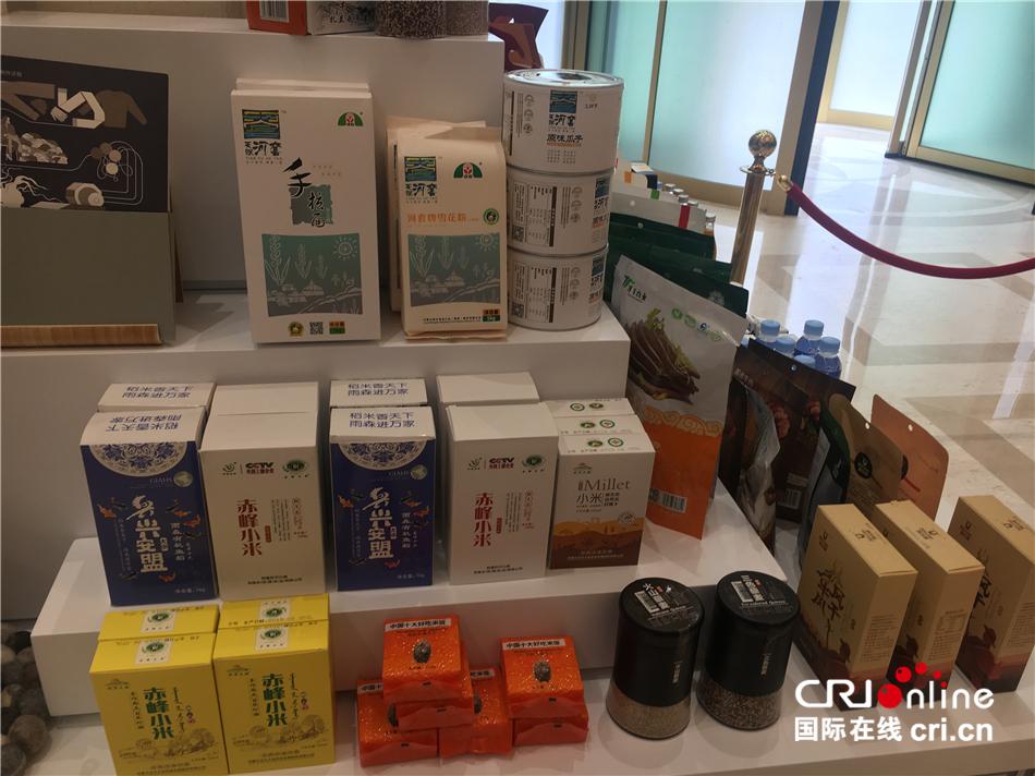 最新绳艺展示,多元艺术的展现与争议并存