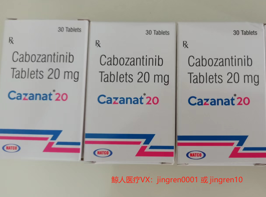 印度卡马替尼价格指南,获取最优惠价格的秘诀