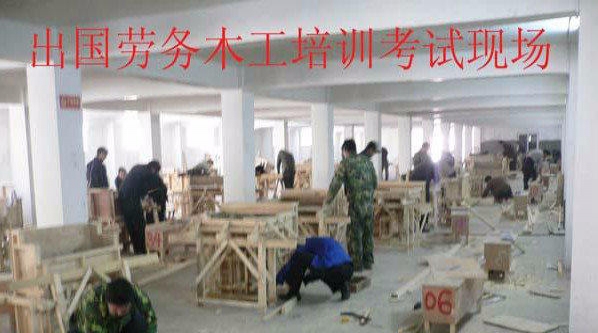 广州南沙普工招聘探索之旅,自然美景与职业发展的双重邀请