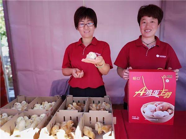 市政设施管理 第64页