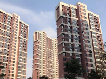 马陆包装城最新动态,变化中的学习与自信成就的力量