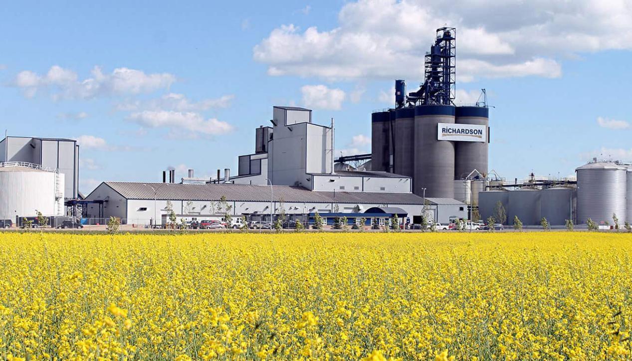 今日全国大麦价格行情详解,如何获取与分析大麦价格信息