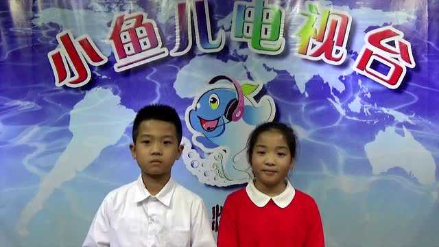 济南电视台小鱼儿最新动态,快乐使者温馨日常播报