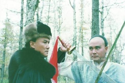 91版雪山飞狐演员表，演绎变化的力量，展现自信与成就之源