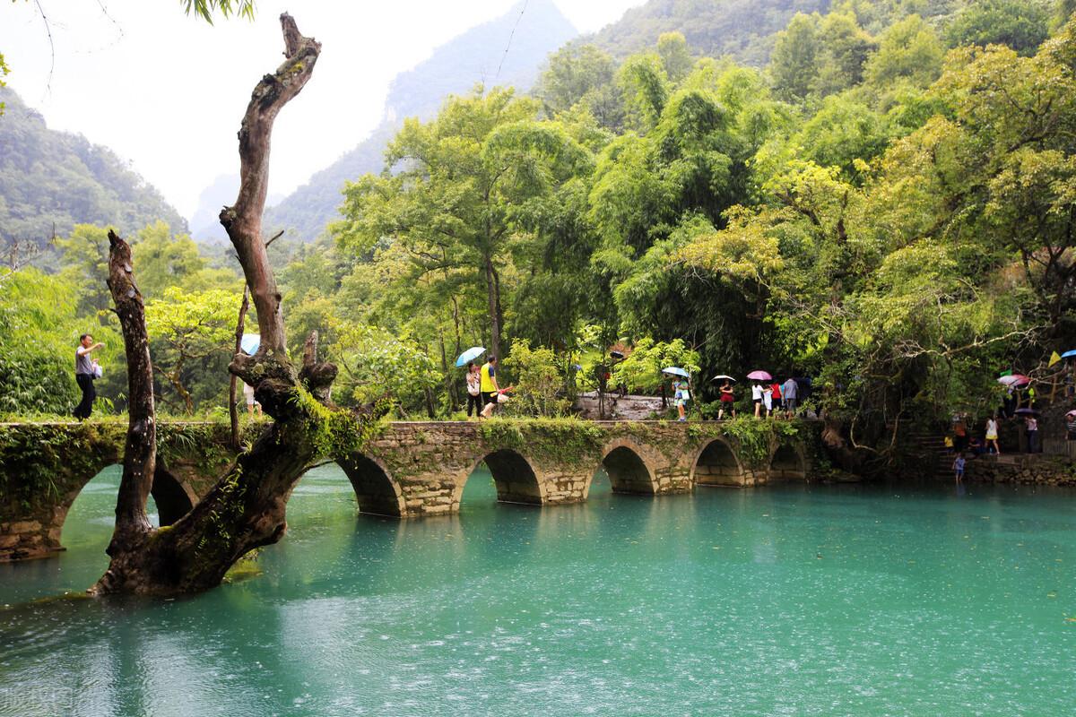 荔波最新职位招聘，变化中自信，学习成就未来之路