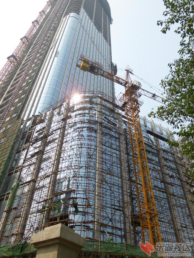 武汉高楼建设最新动态，温馨趣事揭秘