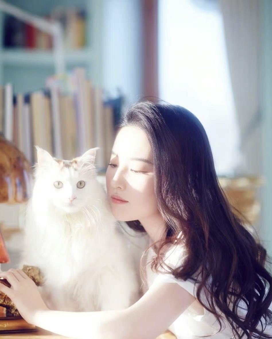 明星属性,心灵与自然的完美交融