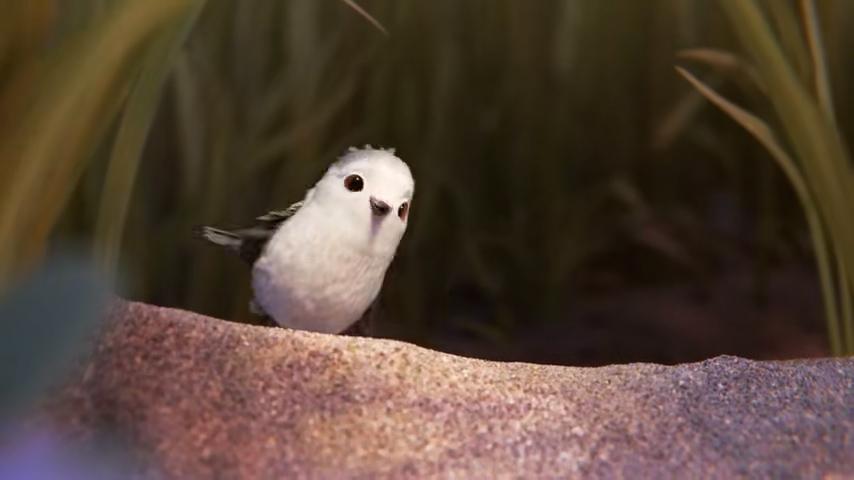 动漫短片,动漫短片,流动的艺术之梦