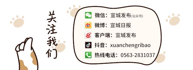 泾县最新动态,泾县最新动态，巷弄深处的独特风味