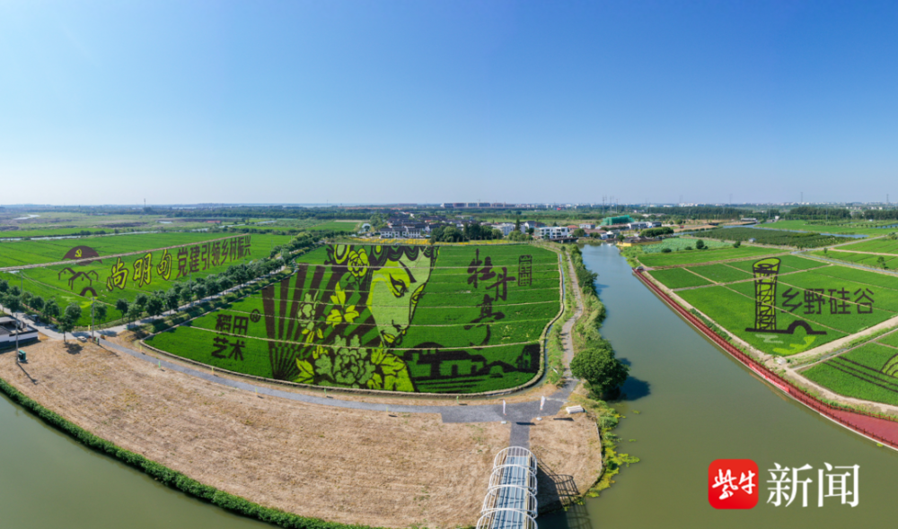 昆山市张浦镇最新职位招聘全面解析