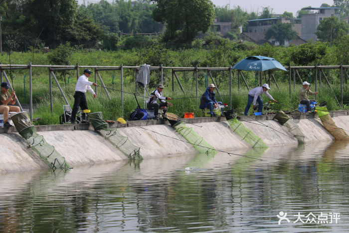 近期钓鱼比赛,竞技与休闲的完美交融时刻!